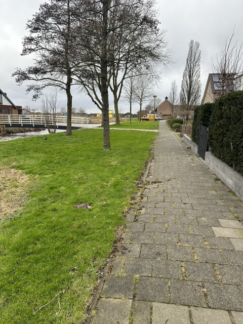 Verzamelriool Nieuwerbrug-zuid